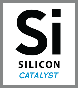 Silicon Cataylst